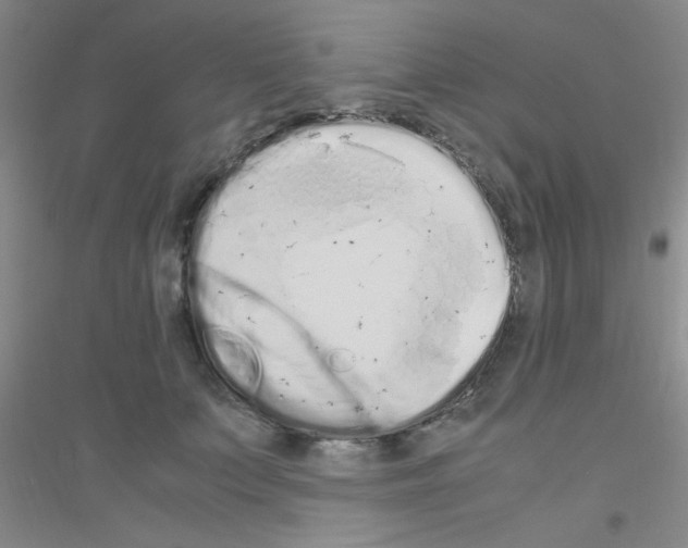 X0000116840703201001291705