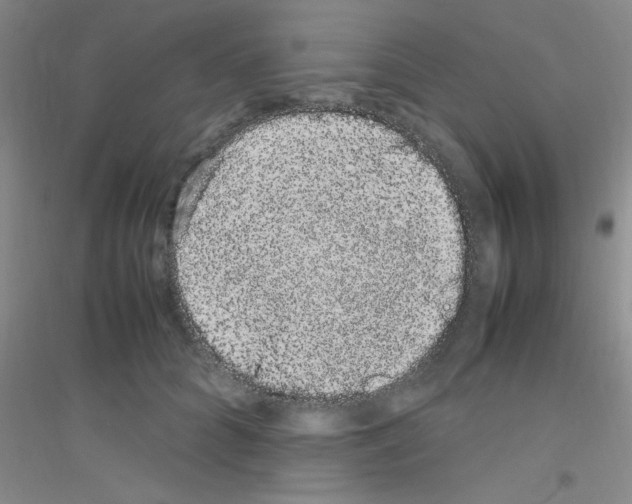 X0000116840704201001291705