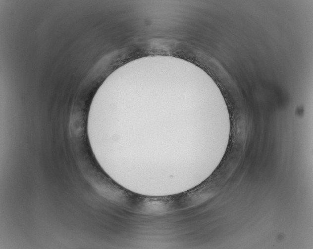 X0000116840706201001291704
