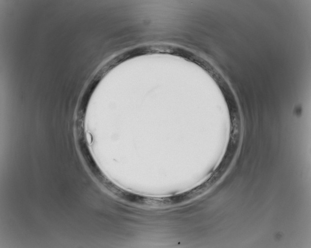 X0000116840707201001291704