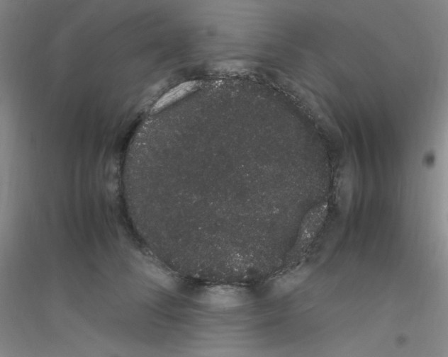 X0000116840708201001291704