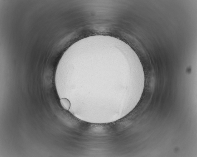 X0000116840710201001291704
