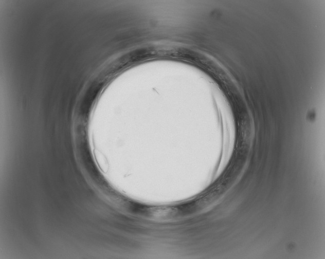 X0000116840711201001291704