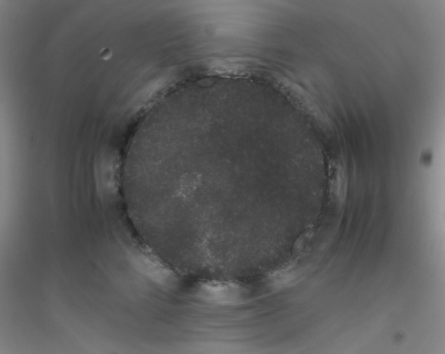 X0000116840712201001291704