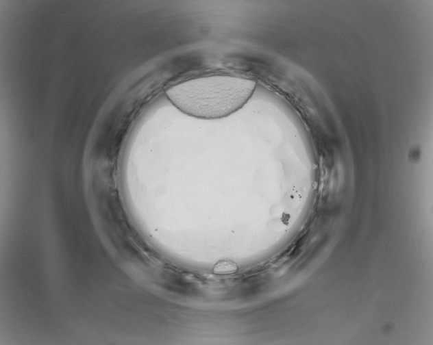 X0000116840713201001291704