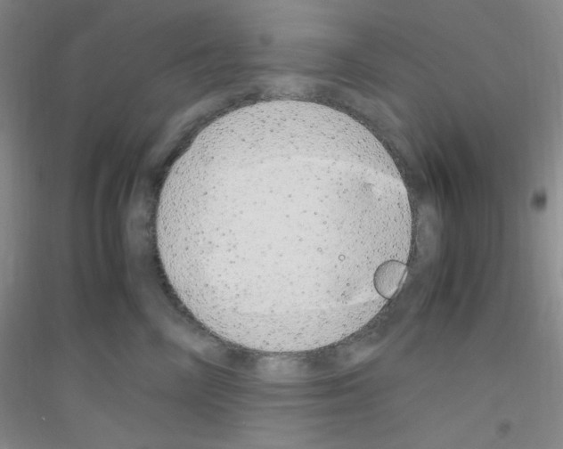 X0000116840714201001291704