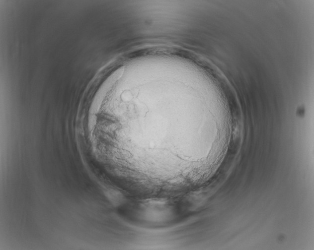X0000116840715201001291704