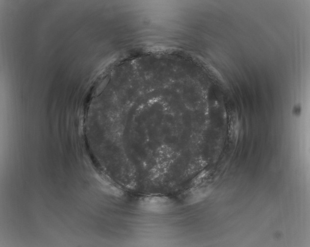 X0000116840716201001291704