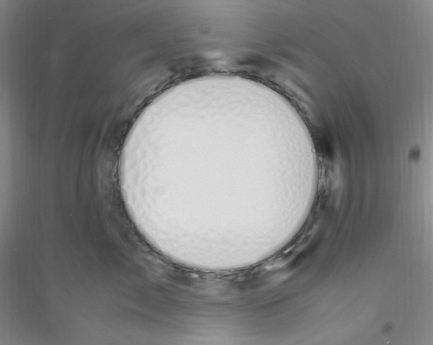 X0000116840717201001291704