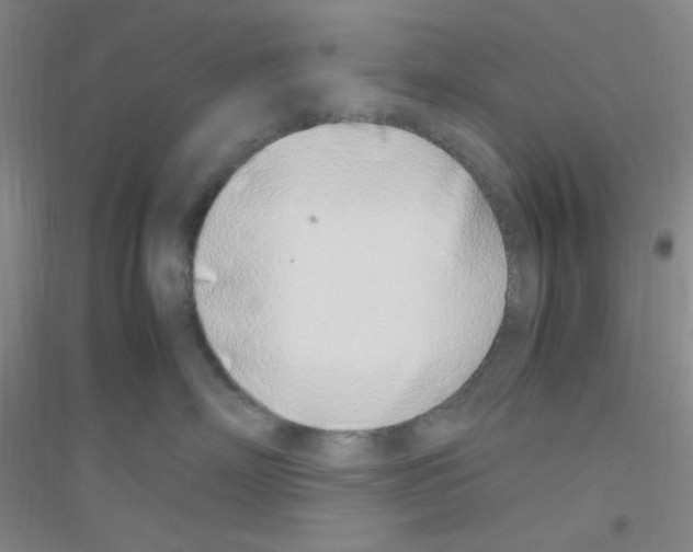 X0000116840718201001291704