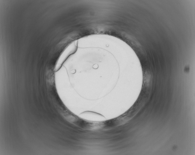 X0000116840719201001291704