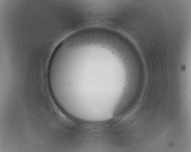X0000116840721201001291704