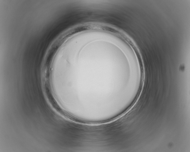 X0000116840722201001291704