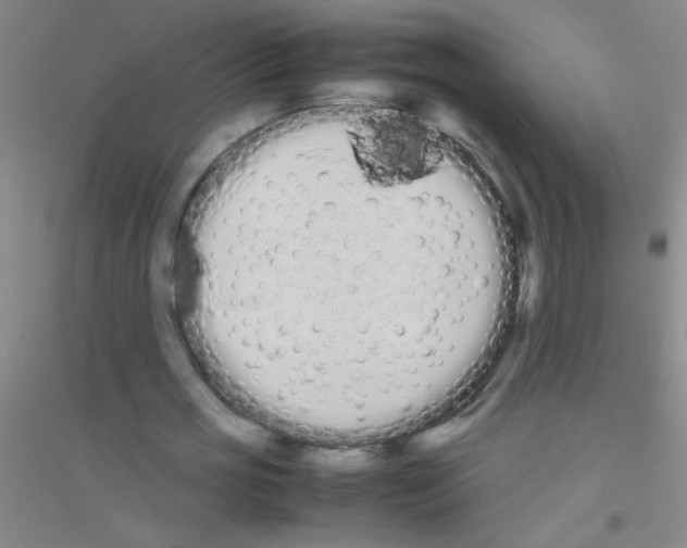 X0000116840725201001291704