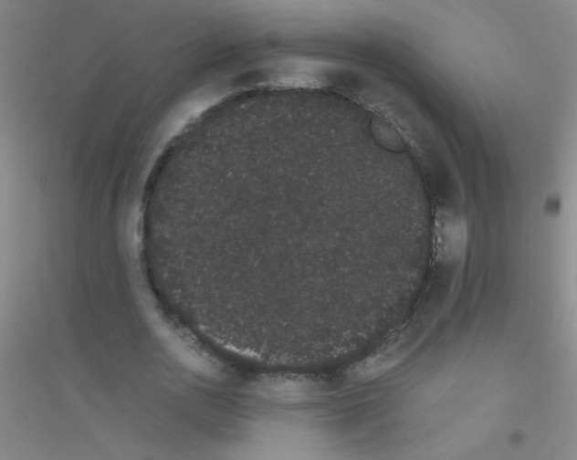 X0000116840726201001291704