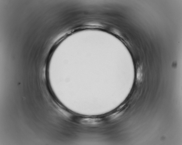 X0000116840727201001291704
