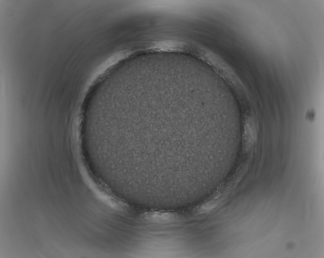 X0000116840730201001291704