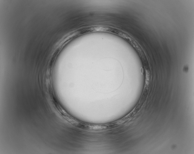 X0000116840734201001291704