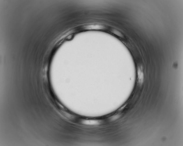 X0000116840735201001291704