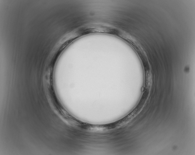X0000116840738201001291704