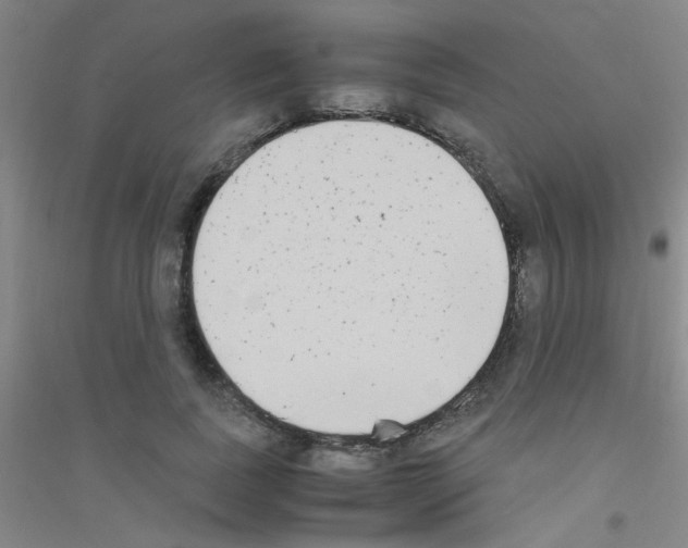 X0000116840739201001291704