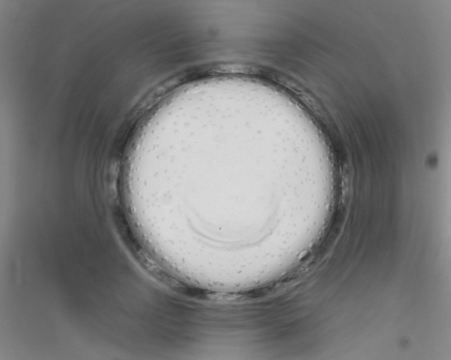 X0000116840742201001291704
