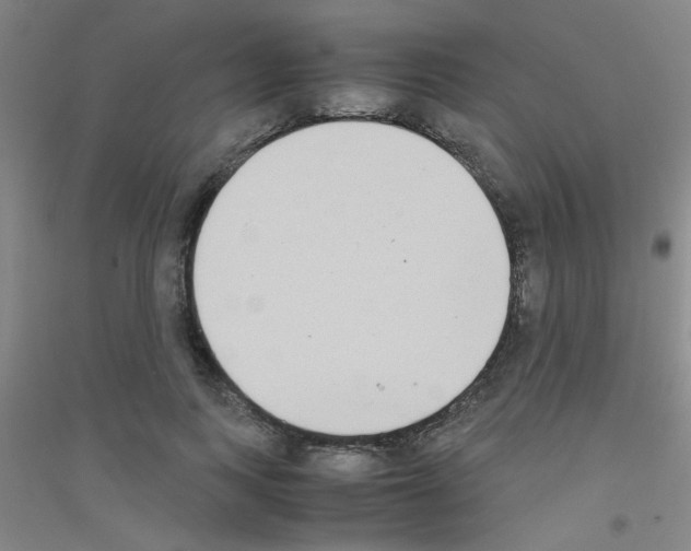 X0000116840743201001291704