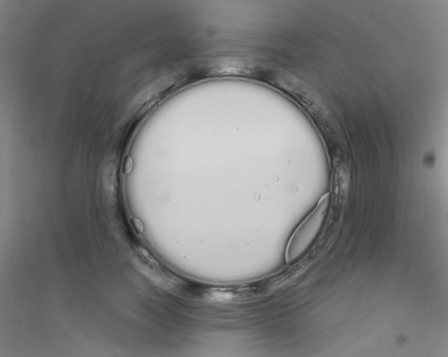 X0000116840746201001291704