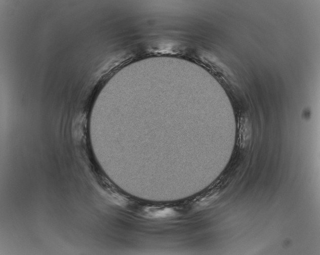X0000116840747201001291704