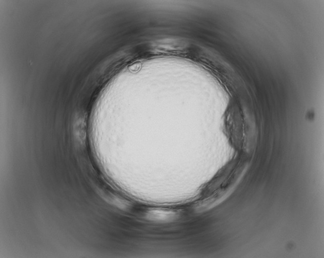 X0000116840749201001291704