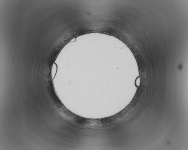 X0000116840750201001291704