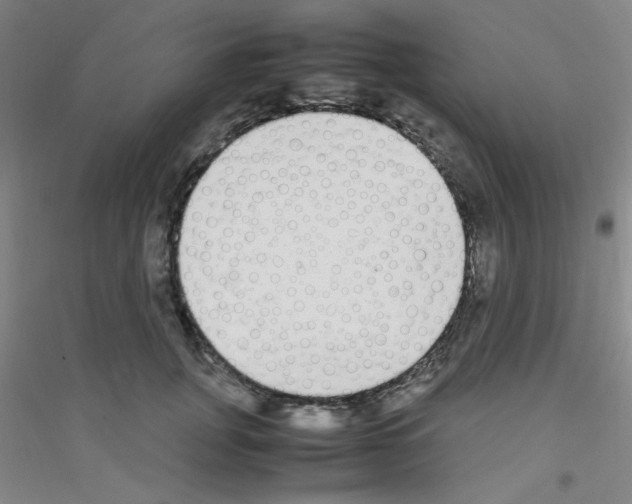 X0000116840751201001291704
