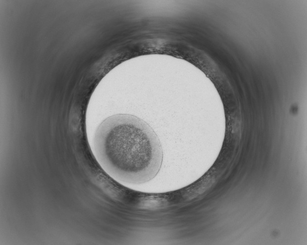 X0000116840754201001291704