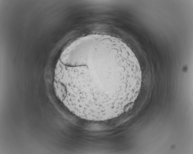 X0000116840755201001291704