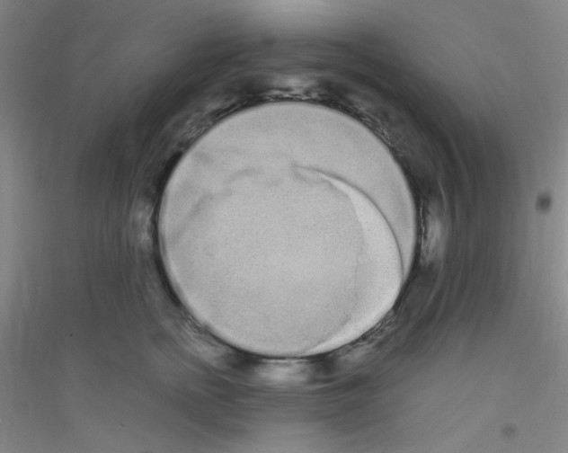 X0000116840758201001291704