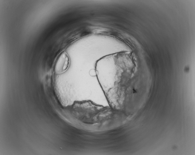 X0000116840761201001291704
