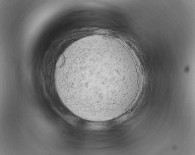 X0000116840763201001291704