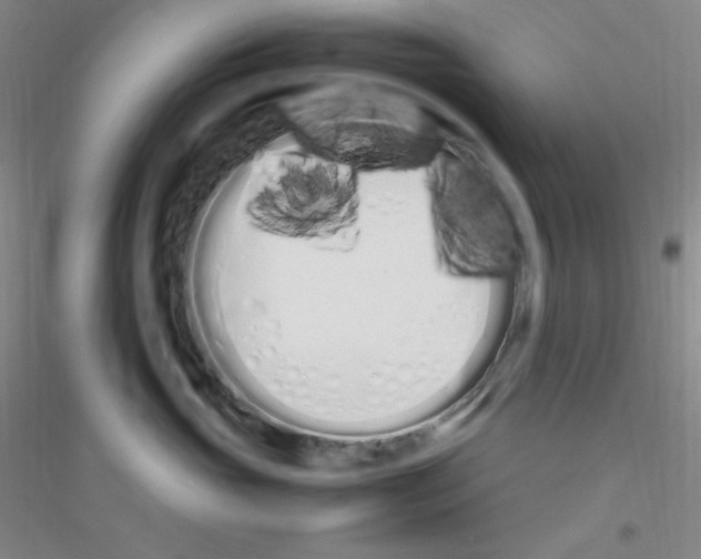 X0000116840765201001291704
