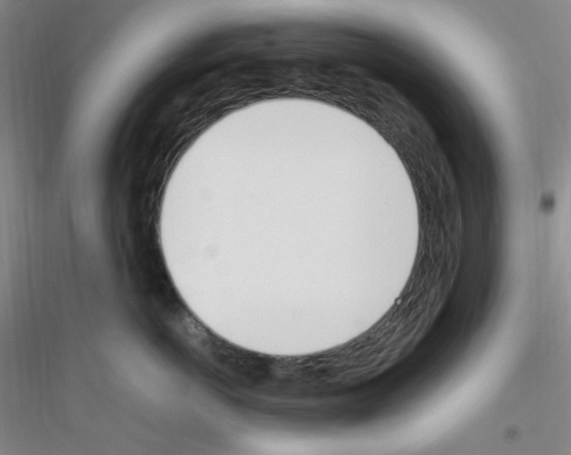 X0000116840766201001291704
