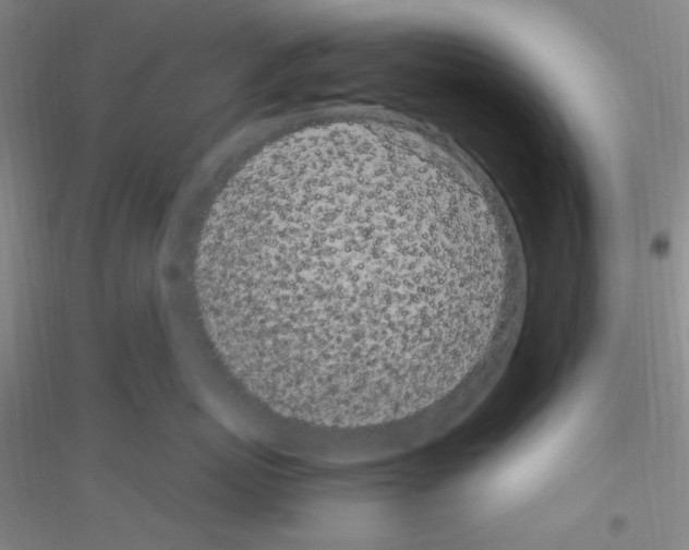 X0000116840767201001291704