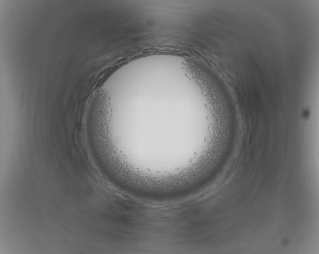 X0000116840769201001291704