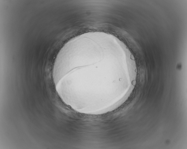 X0000116840770201001291704