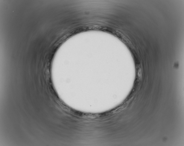 X0000116840771201001291704
