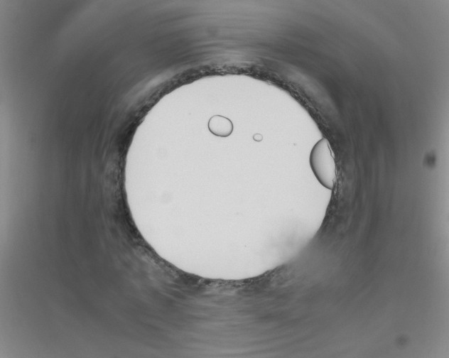 X0000116840773201001291704