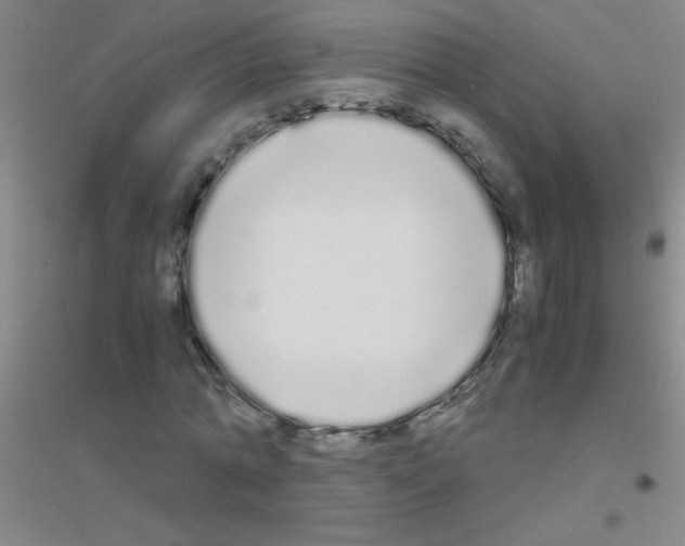 X0000116840774201001291704