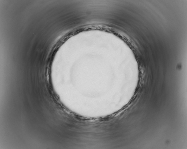 X0000116840776201001291704