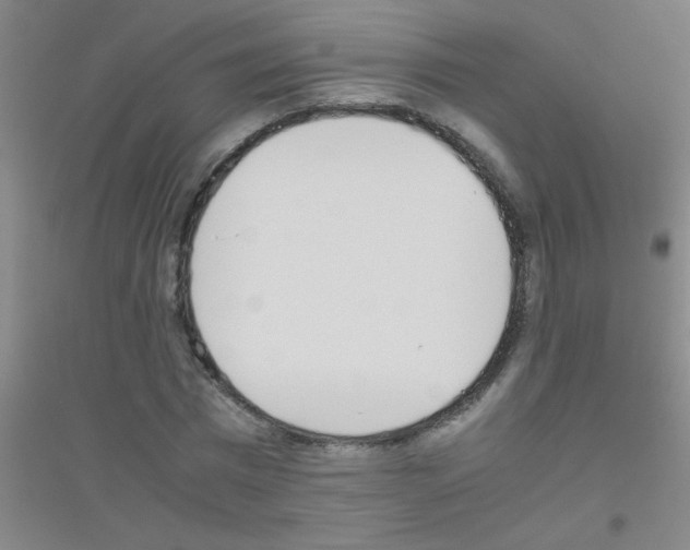 X0000116840777201001291704