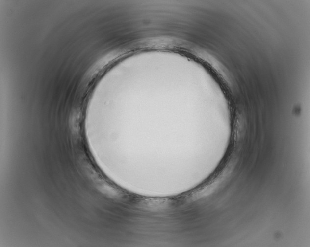 X0000116840778201001291704
