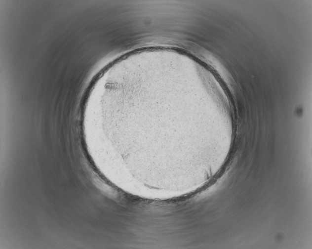 X0000116840779201001291704