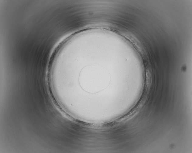 X0000116840780201001291703